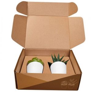 SET DE PLANTAS ALISO personalizada